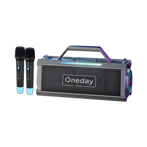 Oneday AE07 Portable KTV dual microphone  Blue tooth speaker