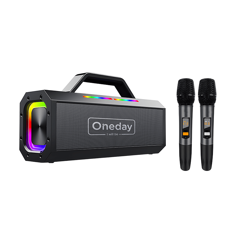 Oneday AE08 Super bass sound KTV  dual microphone  Bluetooth speaker