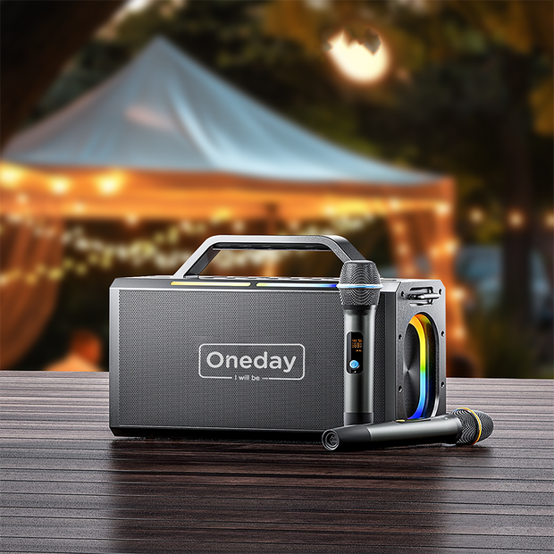 Oneday AE08 Super bass sound KTV  dual microphone  Bluetooth speaker